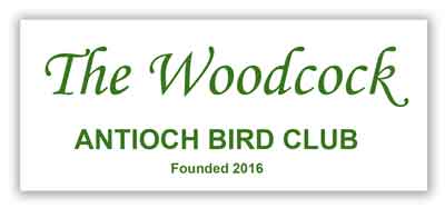 The Woodcock Antioch Bird Club Logo
