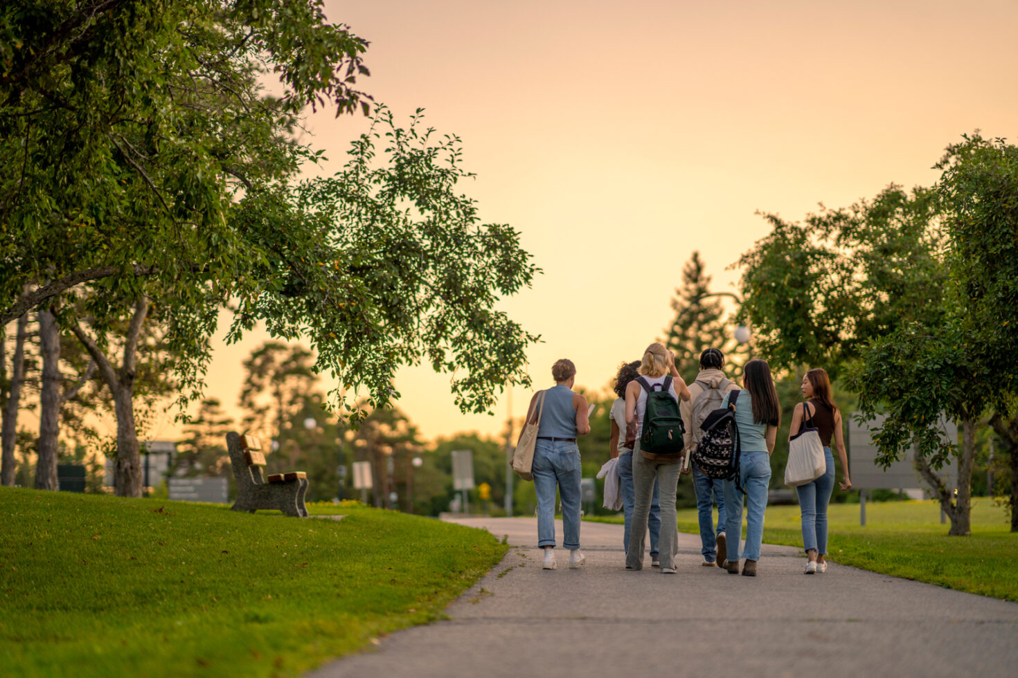 A group of students walking down a path in a college campus at sunset, enjoying the serene beauty of the evening.