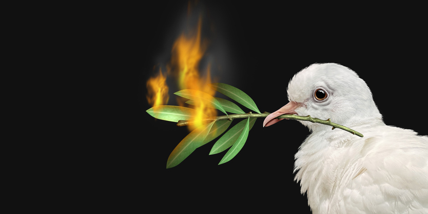 Dove holding a burning olive branch in its beak.